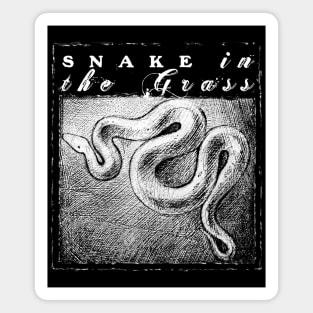 Snake In The Grass Magnet